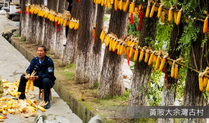 黃陂大余灣明清古村
